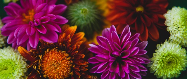 的投篮技术 的投篮技术