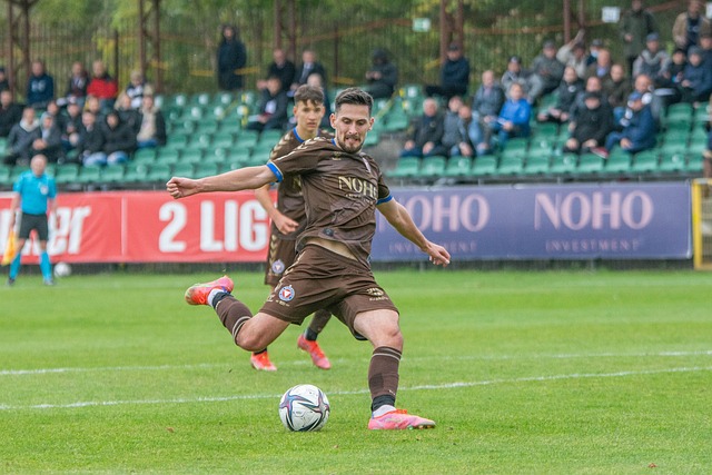 在荒野中的 在荒野中的