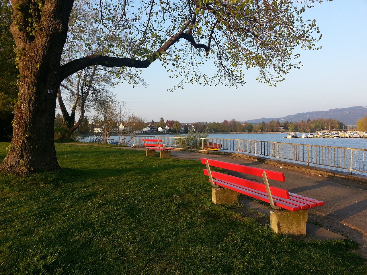 图突破传统 图突破传统