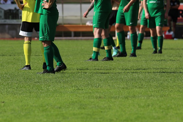 成功应用的 成功应用的