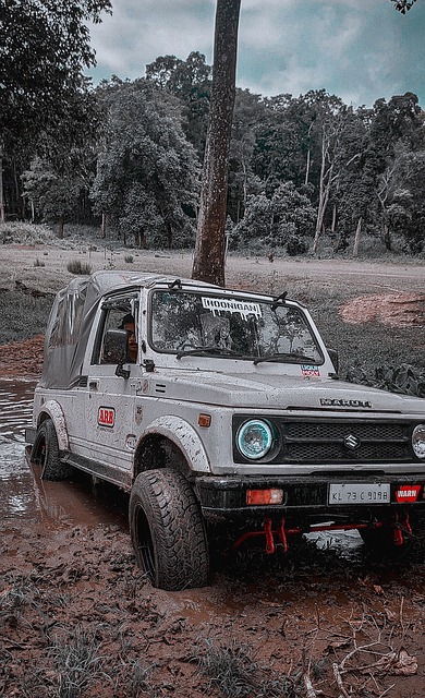 倒不如看作 倒不如看作