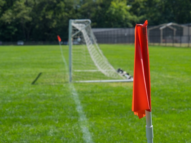 员选择加入 员选择加入